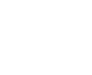 electrosoft
